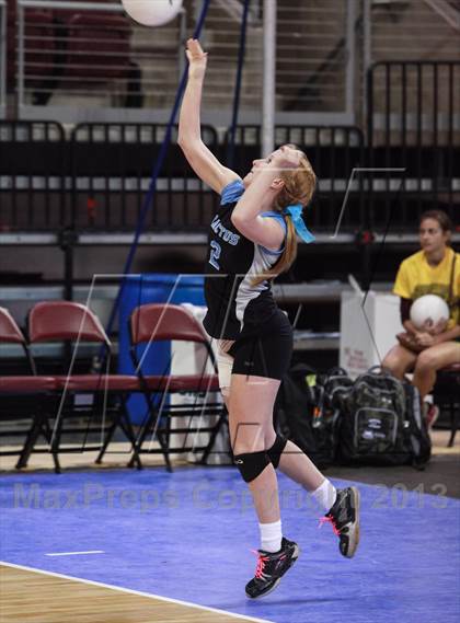 Thumbnail 2 in Cactus @ Flagstaff (AIA D3 Final)  photogallery.