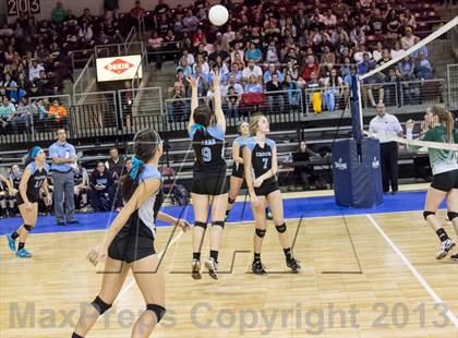 Thumbnail 2 in Cactus @ Flagstaff (AIA D3 Final)  photogallery.
