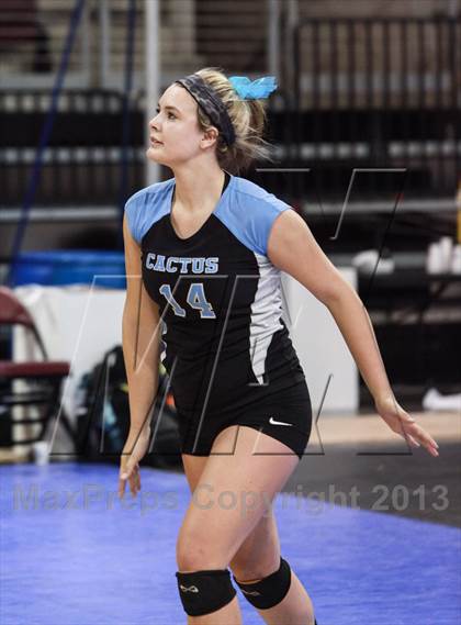 Thumbnail 3 in Cactus @ Flagstaff (AIA D3 Final)  photogallery.