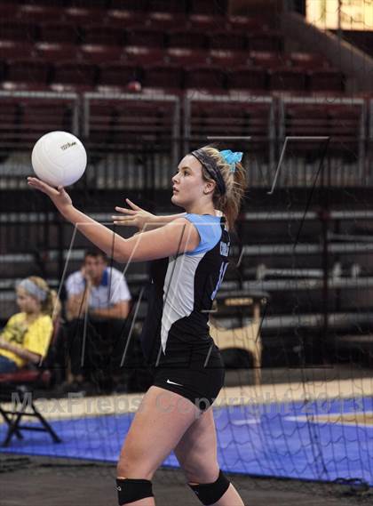 Thumbnail 1 in Cactus @ Flagstaff (AIA D3 Final)  photogallery.