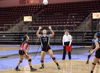Thumbnail 1 in Cactus @ Flagstaff (AIA D3 Final)  photogallery.