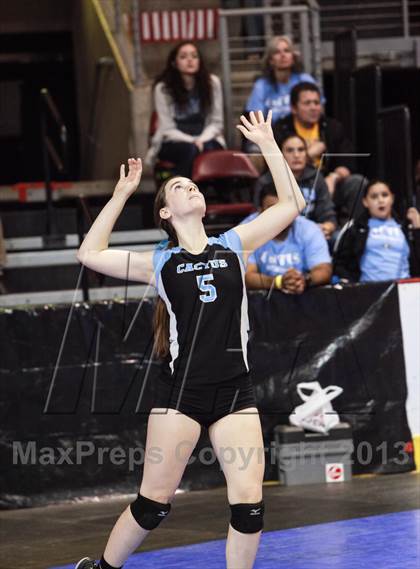Thumbnail 2 in Cactus @ Flagstaff (AIA D3 Final)  photogallery.