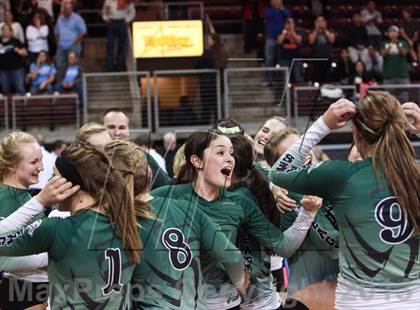 Thumbnail 3 in Cactus @ Flagstaff (AIA D3 Final)  photogallery.