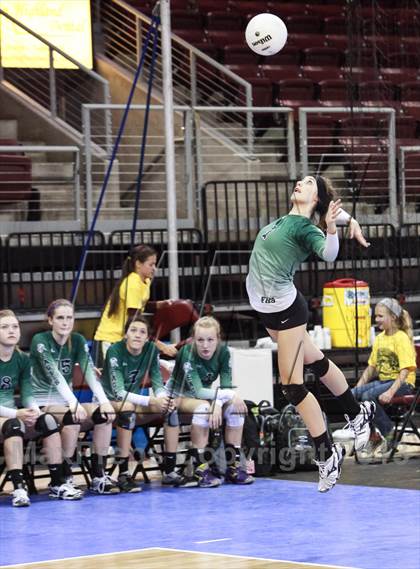 Thumbnail 2 in Cactus @ Flagstaff (AIA D3 Final)  photogallery.
