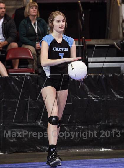 Thumbnail 1 in Cactus @ Flagstaff (AIA D3 Final)  photogallery.