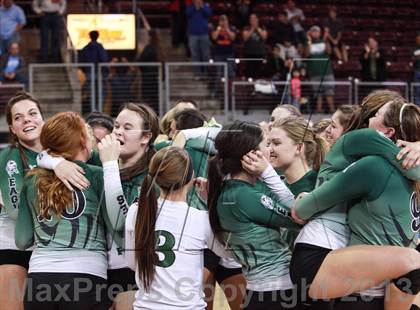 Thumbnail 2 in Cactus @ Flagstaff (AIA D3 Final)  photogallery.