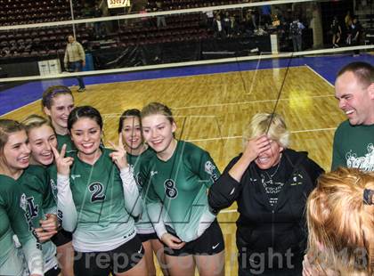 Thumbnail 1 in Cactus @ Flagstaff (AIA D3 Final)  photogallery.