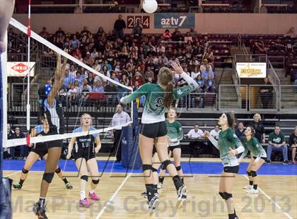 Thumbnail 3 in Cactus @ Flagstaff (AIA D3 Final)  photogallery.