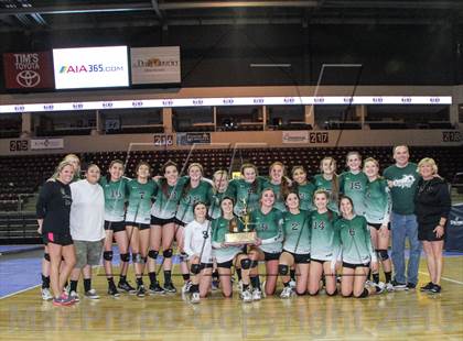 Thumbnail 1 in Cactus @ Flagstaff (AIA D3 Final)  photogallery.
