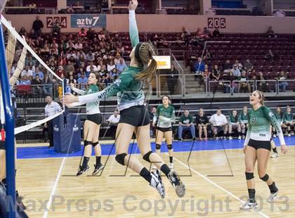 Thumbnail 1 in Cactus @ Flagstaff (AIA D3 Final)  photogallery.