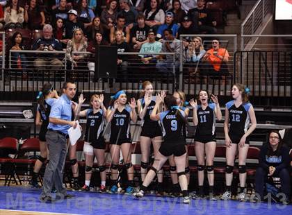 Thumbnail 1 in Cactus @ Flagstaff (AIA D3 Final)  photogallery.