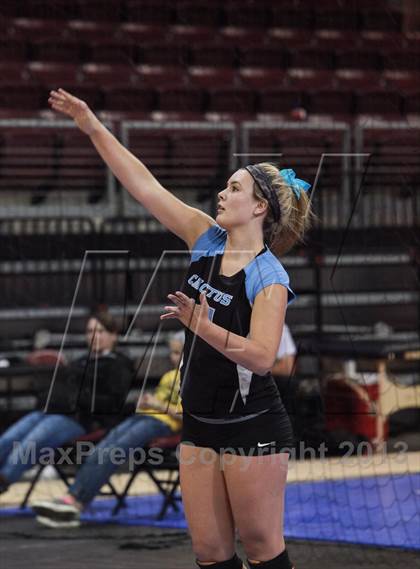 Thumbnail 2 in Cactus @ Flagstaff (AIA D3 Final)  photogallery.