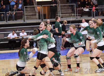 Thumbnail 2 in Cactus @ Flagstaff (AIA D3 Final)  photogallery.