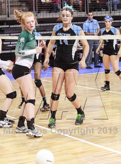 Thumbnail 1 in Cactus @ Flagstaff (AIA D3 Final)  photogallery.