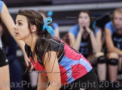 Thumbnail 2 in Cactus @ Flagstaff (AIA D3 Final)  photogallery.