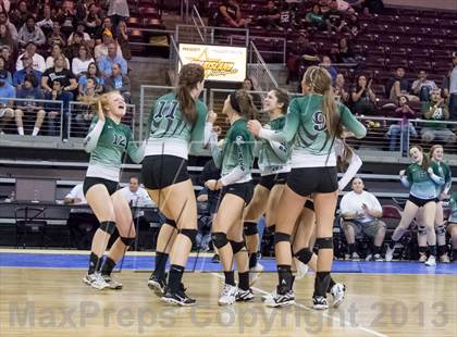 Thumbnail 1 in Cactus @ Flagstaff (AIA D3 Final)  photogallery.