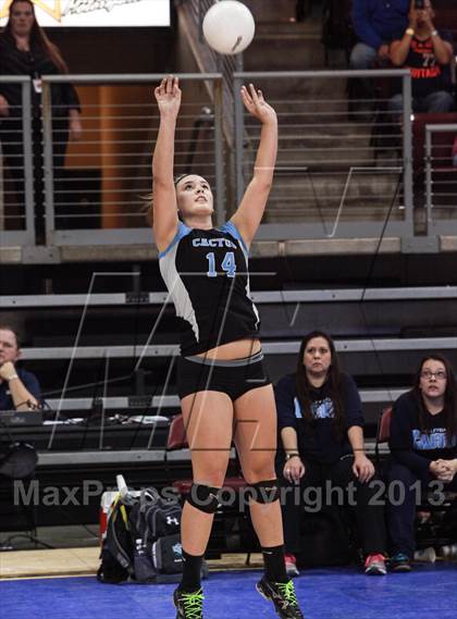 Thumbnail 2 in Cactus @ Flagstaff (AIA D3 Final)  photogallery.