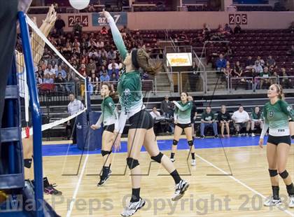 Thumbnail 2 in Cactus @ Flagstaff (AIA D3 Final)  photogallery.
