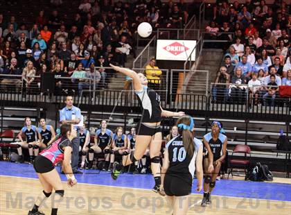 Thumbnail 1 in Cactus @ Flagstaff (AIA D3 Final)  photogallery.