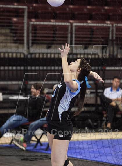 Thumbnail 1 in Cactus @ Flagstaff (AIA D3 Final)  photogallery.