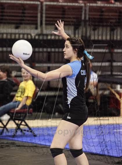 Thumbnail 2 in Cactus @ Flagstaff (AIA D3 Final)  photogallery.