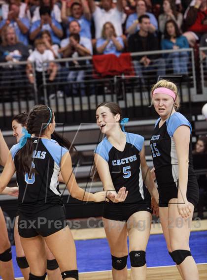 Thumbnail 3 in Cactus @ Flagstaff (AIA D3 Final)  photogallery.