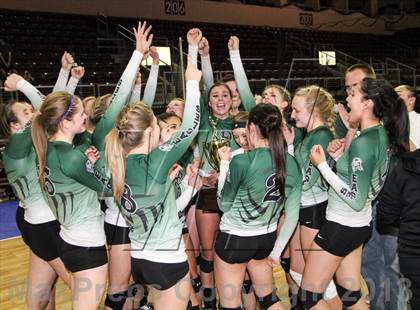 Thumbnail 3 in Cactus @ Flagstaff (AIA D3 Final)  photogallery.