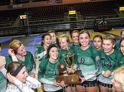 Thumbnail 3 in Cactus @ Flagstaff (AIA D3 Final)  photogallery.