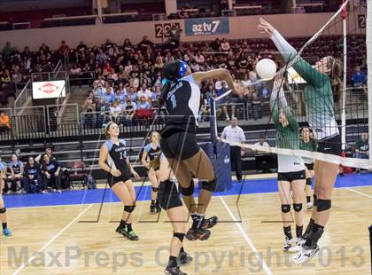 Thumbnail 3 in Cactus @ Flagstaff (AIA D3 Final)  photogallery.
