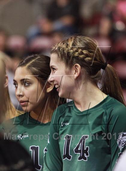 Thumbnail 1 in Cactus @ Flagstaff (AIA D3 Final)  photogallery.