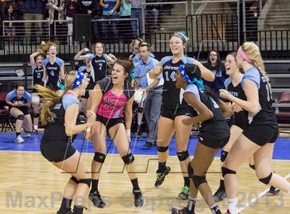 Thumbnail 1 in Cactus @ Flagstaff (AIA D3 Final)  photogallery.