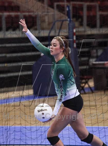 Thumbnail 2 in Cactus @ Flagstaff (AIA D3 Final)  photogallery.