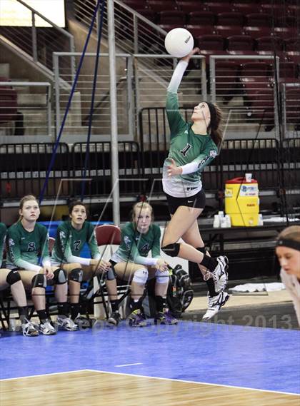 Thumbnail 2 in Cactus @ Flagstaff (AIA D3 Final)  photogallery.