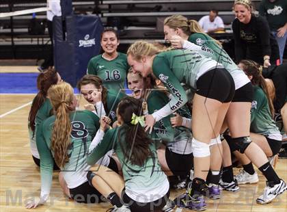 Thumbnail 3 in Cactus @ Flagstaff (AIA D3 Final)  photogallery.