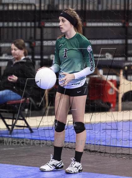 Thumbnail 2 in Cactus @ Flagstaff (AIA D3 Final)  photogallery.