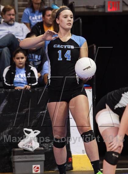 Thumbnail 1 in Cactus @ Flagstaff (AIA D3 Final)  photogallery.