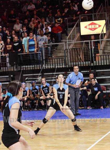 Thumbnail 3 in Cactus @ Flagstaff (AIA D3 Final)  photogallery.