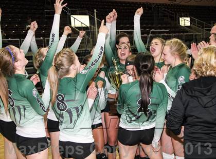 Thumbnail 2 in Cactus @ Flagstaff (AIA D3 Final)  photogallery.