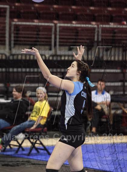 Thumbnail 3 in Cactus @ Flagstaff (AIA D3 Final)  photogallery.
