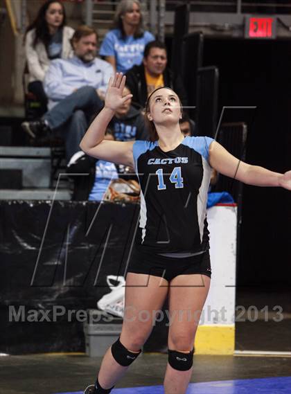 Thumbnail 2 in Cactus @ Flagstaff (AIA D3 Final)  photogallery.
