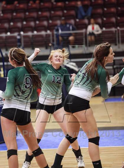 Thumbnail 1 in Cactus @ Flagstaff (AIA D3 Final)  photogallery.