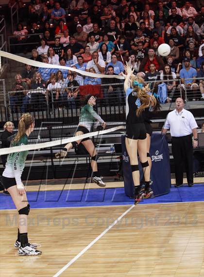 Thumbnail 2 in Cactus @ Flagstaff (AIA D3 Final)  photogallery.