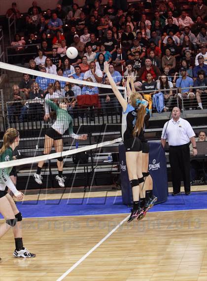 Thumbnail 1 in Cactus @ Flagstaff (AIA D3 Final)  photogallery.
