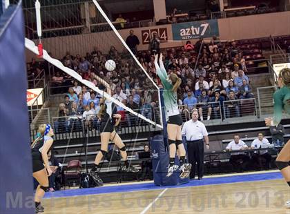 Thumbnail 3 in Cactus @ Flagstaff (AIA D3 Final)  photogallery.