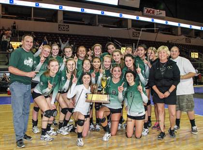 Thumbnail 3 in Cactus @ Flagstaff (AIA D3 Final)  photogallery.