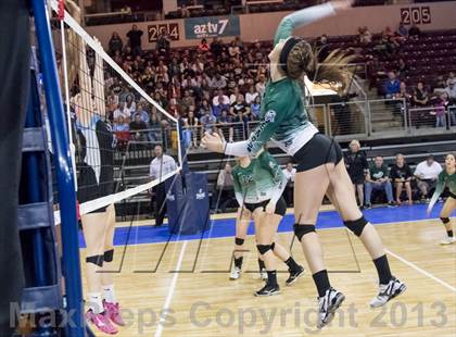 Thumbnail 1 in Cactus @ Flagstaff (AIA D3 Final)  photogallery.