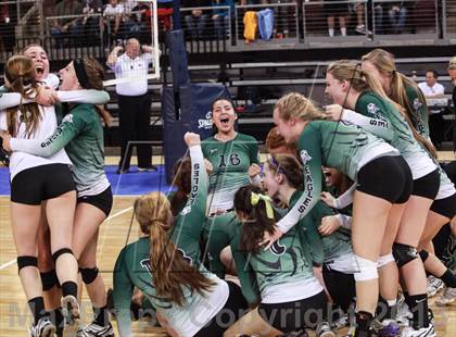 Thumbnail 2 in Cactus @ Flagstaff (AIA D3 Final)  photogallery.