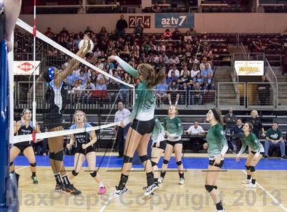 Thumbnail 1 in Cactus @ Flagstaff (AIA D3 Final)  photogallery.