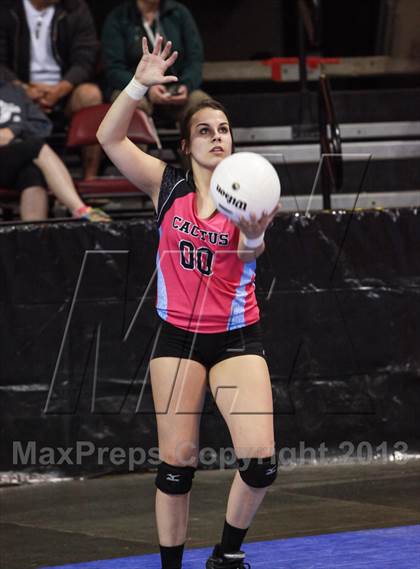 Thumbnail 3 in Cactus @ Flagstaff (AIA D3 Final)  photogallery.