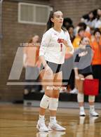 Photo from the gallery "Desert Vista @ Corona del Sol"